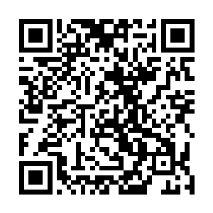 那就别想着什么要求这个社会真正能杜绝关系网的存在了二维码生成