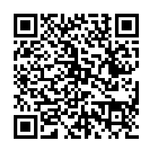 那就是坚决地否认马文的死亡――哪怕希望真的很渺茫了二维码生成