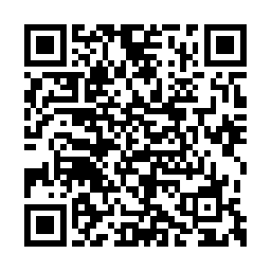 那就是所有战队严禁靠近第二男子军校的大本营二维码生成