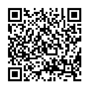 那就是无以伦比的剑道天赋和在剑之一道上惊人的造诣二维码生成