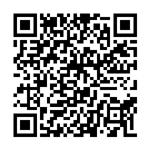 那就是许家谷等人果然发现了古荒山脉中的宝藏二维码生成