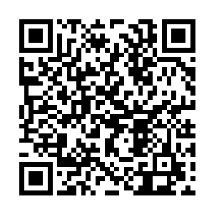 那就是这个残杀同门的凶手的身份肯定特不太简单二维码生成