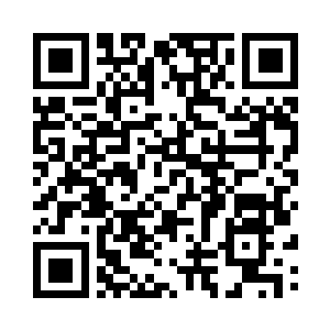 那就是这个片段由他们自己来演的话二维码生成