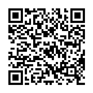 那就是选择一个常委并不能仅仅只看经济能力那么简单二维码生成