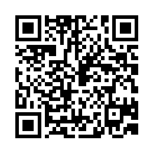 那就是都是神秘的931部队的身份象征牌二维码生成