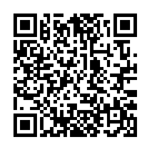 那就索性进行一些合作――两条大鱼只要不互相残杀二维码生成