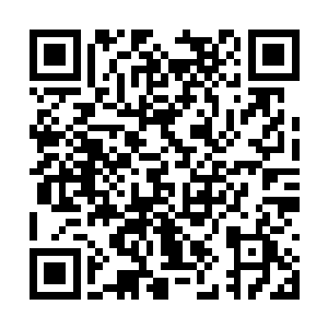 那就要亮牌了……就是要在股东名单登记你的名字二维码生成