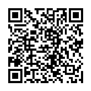 那就请他先找出一个能像太师一样投身于教育界的人来二维码生成