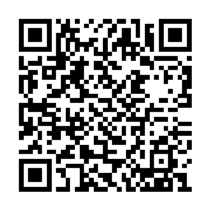 那岂不是每一次比赛都会死去很多六阶光明圣师二维码生成