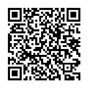 那岳京的一双拳头不停地向着空中急速砸来的黑色头颅轰击着二维码生成