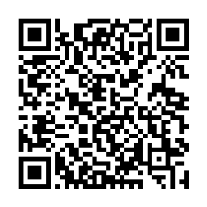 那巨大的魔气浪潮直接将他的身躯衬托得高大三四米二维码生成