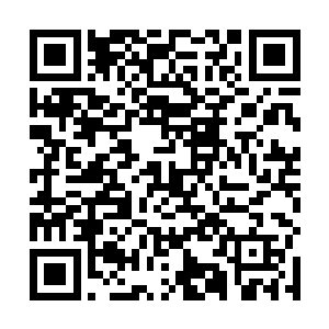 那帮子东洋岛国的女星还不哭着喊着跪着爬着求暖床啊二维码生成