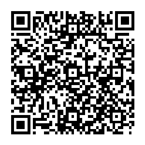 那年…桃花林里当他第一次看到那落英之中的绝色女子他就沉入了一个深沉的迷梦中二维码生成