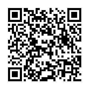 那庄严神圣的佛号竟让我们都情不自禁地想要下跪膜拜二维码生成