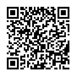那应该属于夏季区的沙漠竟然出现在春季区的门口~二维码生成