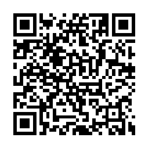 那座天绝地灭阵已经将烛龙殿全都笼罩在了里面二维码生成