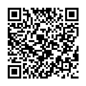 那张容易让人忘记的脸也像是开出了朵狗尾巴花似的二维码生成
