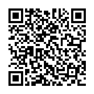 那张邀请函就是机甲师参加机甲赌斗大赛的资格入场券二维码生成