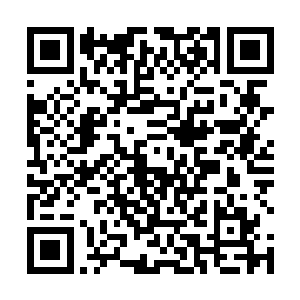 那很可能这一代的直系子弟里很难找个合适的接班人了二维码生成