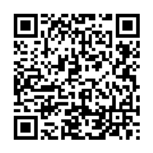 那怨气之中已经让冷无情感受到了一丝生命的威胁二维码生成