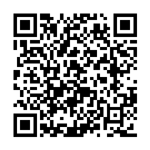 那怪物的身上便是多出了无数道密密麻麻的伤口二维码生成