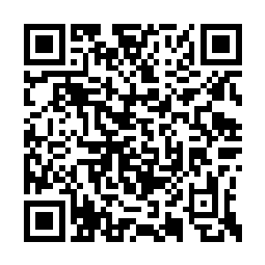 那恐怖的闪电直接的落在了杨风的混沌灵魂上面二维码生成