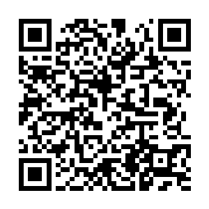 那悬浮在空中的来自太白剑宗的老人也开心的落地二维码生成