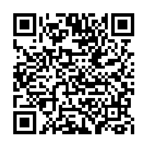 那我们就将荒州上的所有神王境到无极境的强者二维码生成