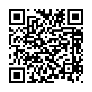 那我们肯定当宝贝一样照看好他们二维码生成