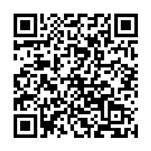 那我就等他来了之后让他亲眼看到自己的表姐被人轮j二维码生成