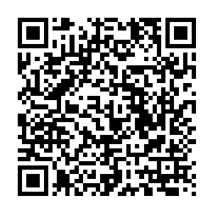 那戴墨镜的妹子紧紧的拽住了自己的衣服　也不说话　就那样拽着自己二维码生成
