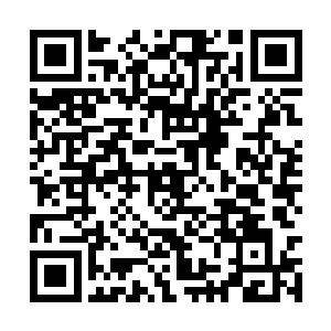 那所残留着气息的主人一个个都是非常恐怖的存在二维码生成
