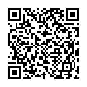 那手臂缩回去之后洞窟上的镇字所散发的威压就已经消散二维码生成