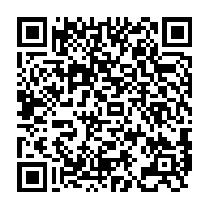 那扬起来的笑意还没有来得及展开却被阮湘怀里的婴孩儿给吓得愣住了二维码生成