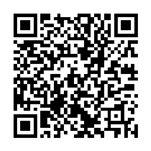 那拍卖师面前出现一个用金色手绢精细包好的青铜碎片二维码生成
