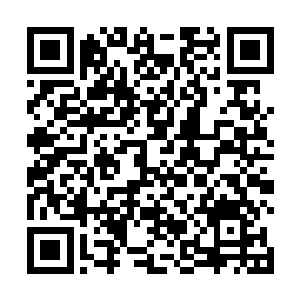 那摆在楚旬面前的血晶心脏上也忽然绽放出刺眼的血光二维码生成