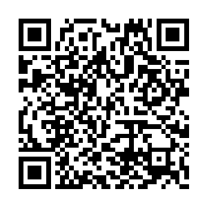 那断手当中的血液就更加疯狂地涌进了他的手臂二维码生成