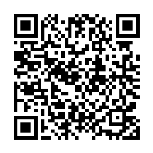 那方微缩的宇宙不就是一枚流转着淡淡五色毫光的珠子吗二维码生成