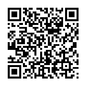 那无尽血海竟然被这可怕的能量冲击波给彻底掀起二维码生成