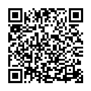 那无数枚金色铜钱仿佛在这一瞬间变成了锋锐无比的利器二维码生成