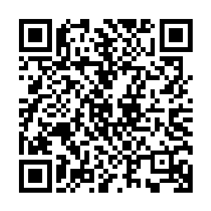 那无比鲁莽冲撞过来的刺客带着盾牌一路轰隆隆的滚到了墙角二维码生成