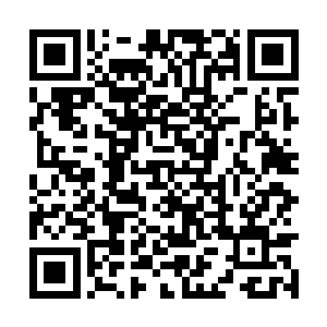 那无量道又是怎么知道牛有德是诱人入网的诱饵的二维码生成