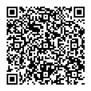 那无间鹏王经地之脉轮某个部位最边缘的一个由三角形和圆形组成的复杂几何图案终于由虚变实二维码生成