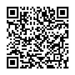 那日后行走墨之战场可就再不惧墨之力的侵蚀了二维码生成