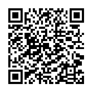 那时候他还想必须找世界上最厉害的整容师给她去掉伤疤二维码生成