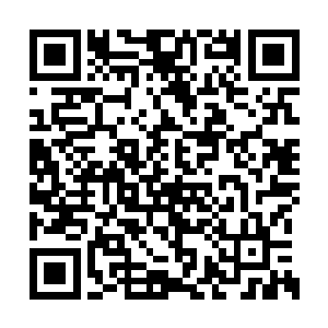 那时候还想跟我争来人民第一医院实习的名额了二维码生成