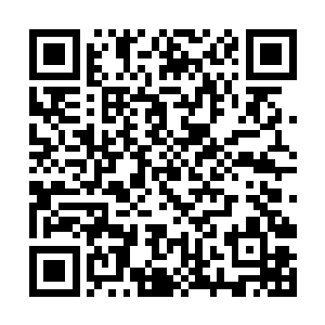 那时恐怕你们西方教所有的人都认为必是手到擒来吧二维码生成