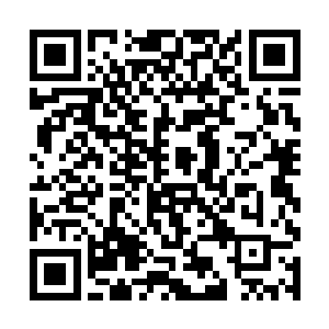那旺盛的生命之力和磅礴的空间之力让他的心跳加速二维码生成