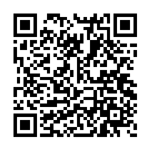 那明亮的火光犹如一个顽皮的孩子在欢快的跳舞二维码生成