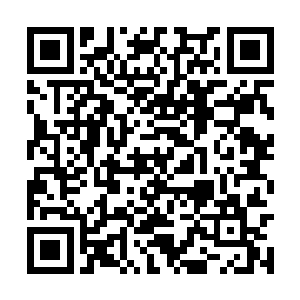 那映射出朱雀先祖阴影的伞骨宛如化作了一柄利剑二维码生成